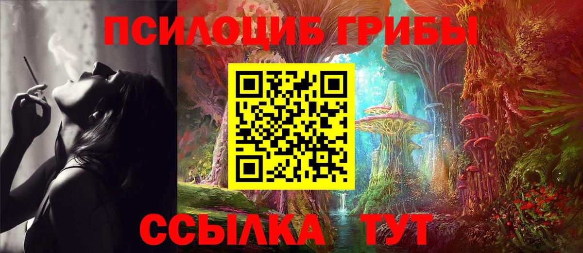 Галлюциногенные грибы прущие грибы Камышин